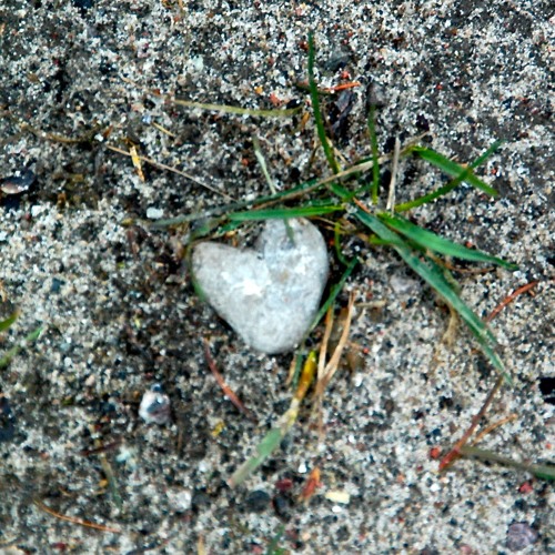 I Am Not A Rock
