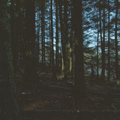 BILL ORRICK - Lullaby (Radio Edit)