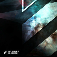 Numbing (Original Mix) Several Reasons Recordings 12"