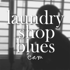 Laundry Shop Blues