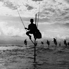 Ceylon (Instrumental)DOWNLOAD!