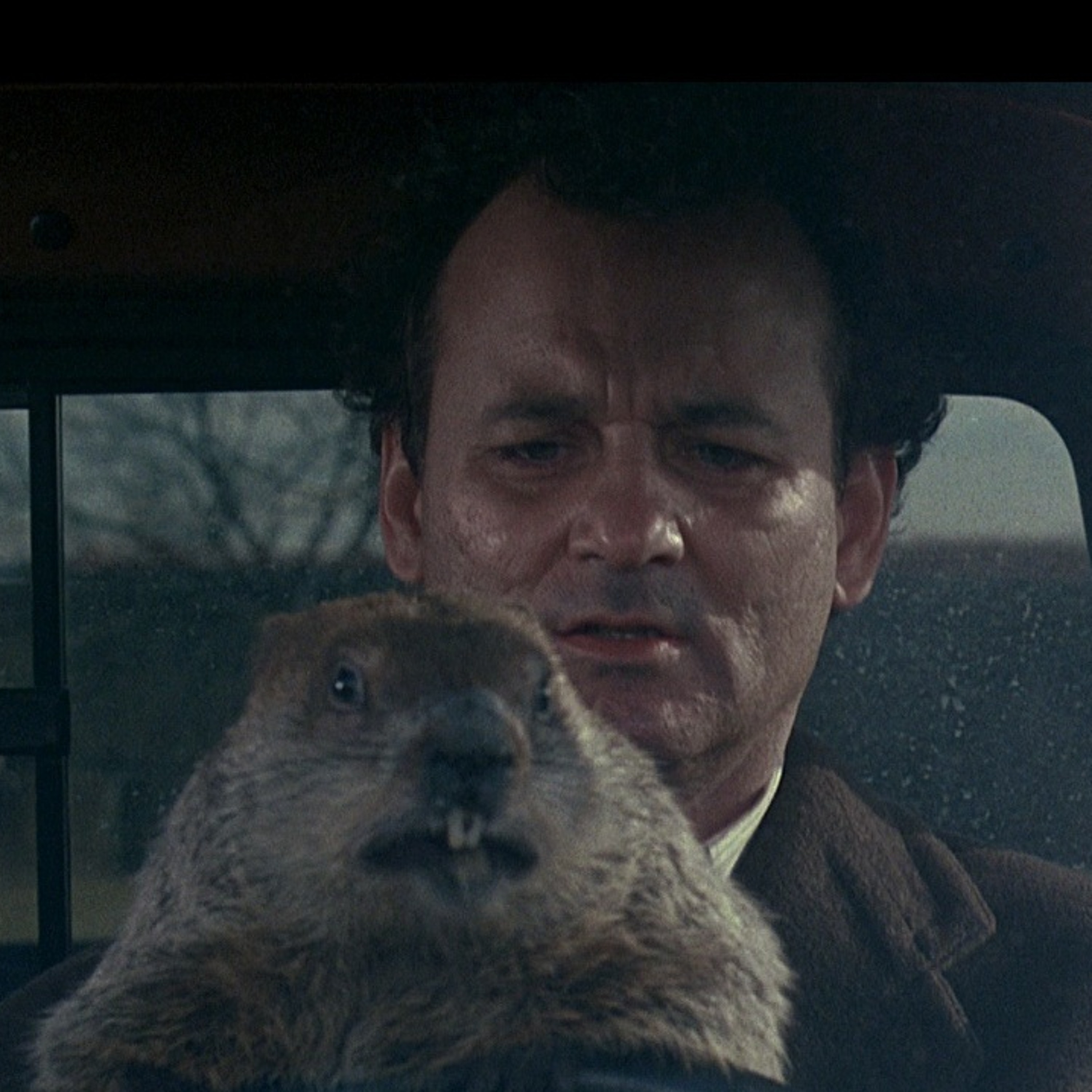#170 Groundhog Day (1993) y el mundo de Bill Murray