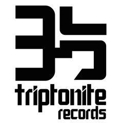 Joe Rifmann - The Forgotten Past [Triptonite Records]