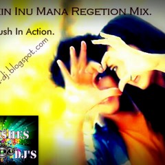 Nidukin Inu Mana regetion mix -Dj