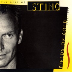 Sting-Fields Of Gold ( Chicco C. Remix )