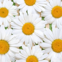 Belajar Di Waktu Kecil Bagai Mengukir Diatas Batu