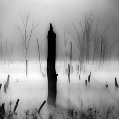 Burden