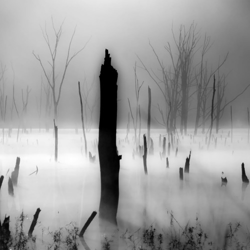 Burden