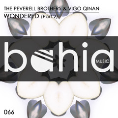 The Peverell Brothers & Vigo Qinan - Wondered (Nico Heinz, Max Kuhn & Fabio De Magistris Remix)