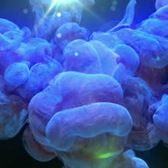 EDM Electro Mainroom Bigroom House Track - Get The F*ck Up Song Preview