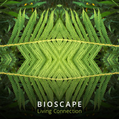 03 - Not All Who Wander Are Lost