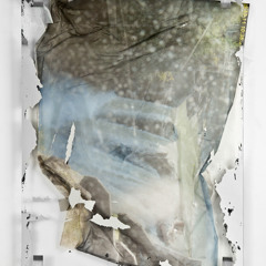 S Gottfried 4 TCR: kJ·mol−1 mixtape