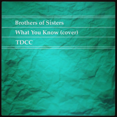 What You Know - Brothers of Sisters (Two Door Cinema Club Cover)