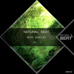 Black Forest (Original Mix) Natural Beat Recordings