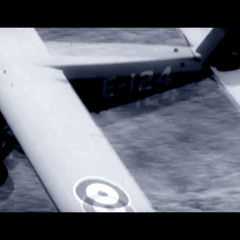 Not that soar loser probably.