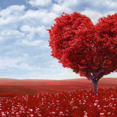 Prelude d'Amour Composed By Michael Klein