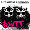 Way Too Funk by Fuzzi Kittenz & Eyedentity