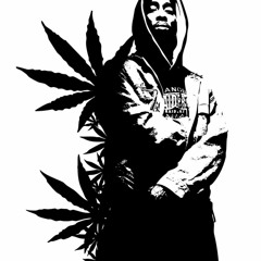 2Pac - I'm Gettin Money (remix)