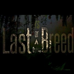 YS x Pound Cake Remix