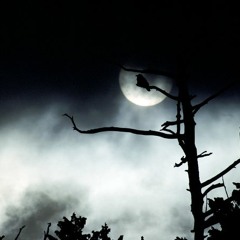 What the Moon Brings