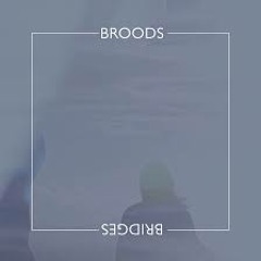 Broods - Bridges Craze Chilled Edit[Free Download]