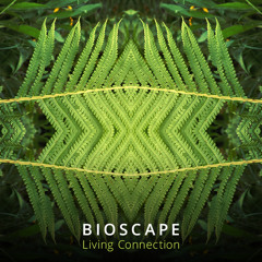 04 - Underwater Bliss