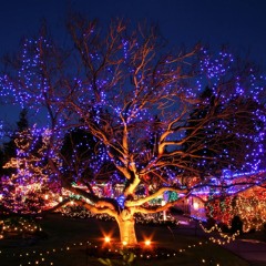 xsses - after (Prod. Purp Beats)