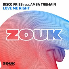 The Disco Fries - Love Me Right Feat. Amba Tremain [Thissongissick.com Premiere]