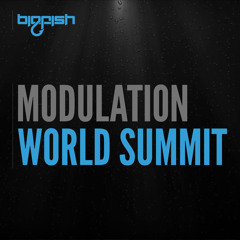Modulation - World Summit (Original Mix)