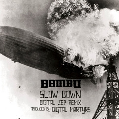 Slow Down (Digital Zep Remix)