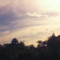 La Vie En Rose - AshleyGo