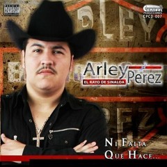 Arley Perez - El 24