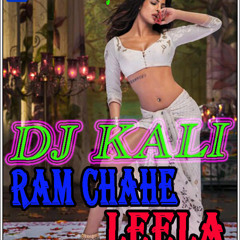 Ran Chahe Leela ( Electro House Mix) DJ KALI