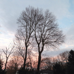 Believe Scratch 3 24 2014