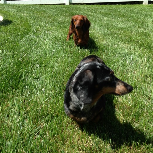 On My Baddest Behavior