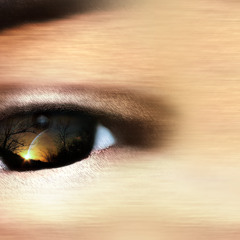 All Released From "DreaMelodiC"