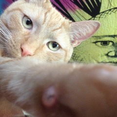 TOPHER'S MIX March 2014