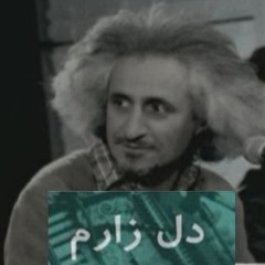 محسن نامجو -دل زارم