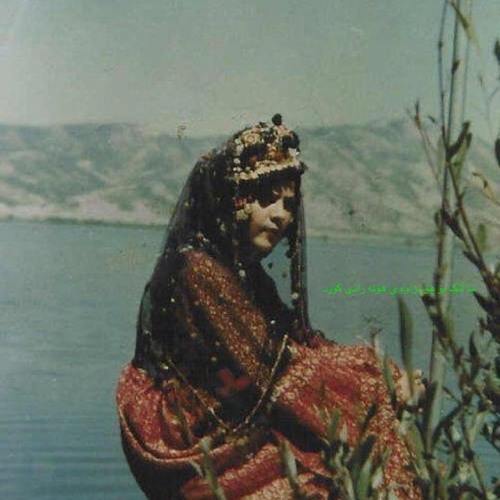 فتانه ولیدی عباس كمندی