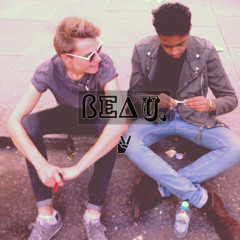 Bon Iver- The Wolves (Beau Re-Make)