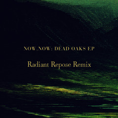 Shifting (Radiant Repose Remix)