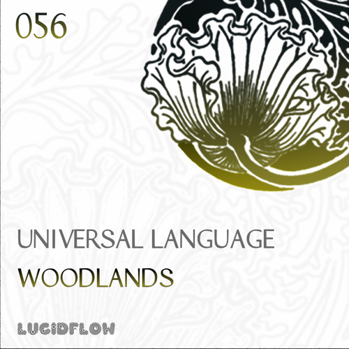 Universal Language - Blurred Field