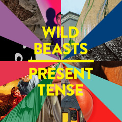 Wild Beasts - A Simple Beautiful Truth (East India Youth Remix)