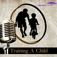 Train Up A Child