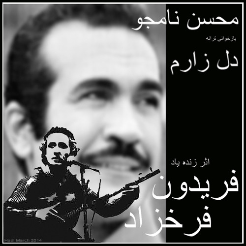 محسن نامجو دل زارم