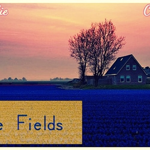Blue Fields Feat. Conscious