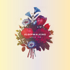 Broken Men - Sleepwalking