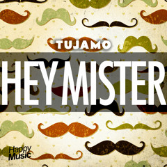 Tujamo - Hey Mister (Original Mix)