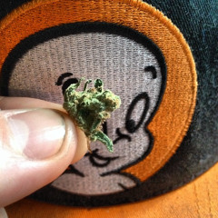 Casper (Frozen Tear Drops 2/14/2015)