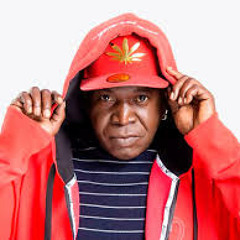 Barrington Levy - Rosie  2014